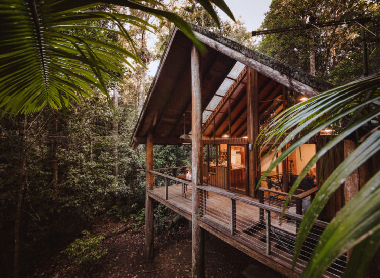 Whispers in the Canopy: Unveiling the World’s Most Beautiful Treehouse